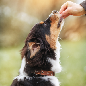 Overgewicht na de winter